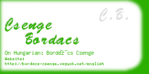 csenge bordacs business card
